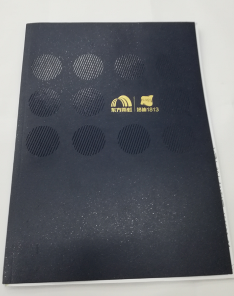 洛迪環(huán)?？萍计髽I(yè)宣傳畫冊(cè)印刷圖1