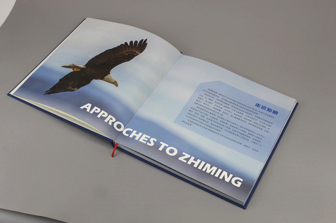 企業(yè)畫冊 企業(yè)畫冊