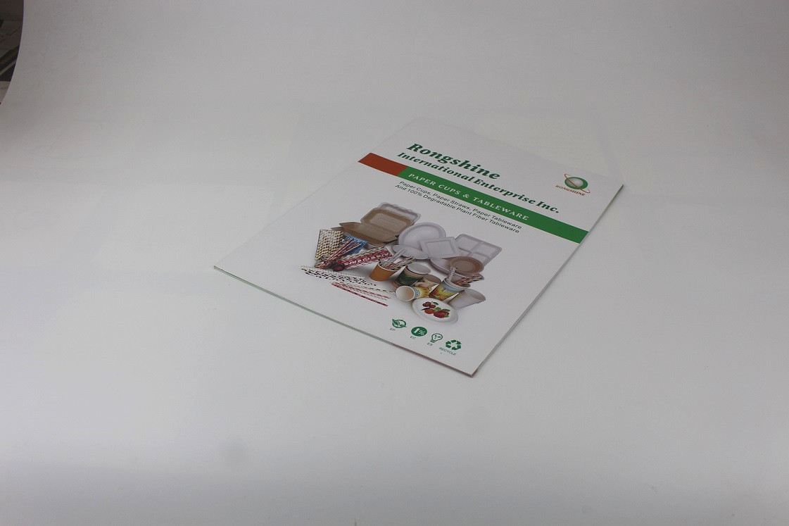 宣傳畫(huà)冊(cè)印刷 宣傳畫(huà)冊(cè)印刷