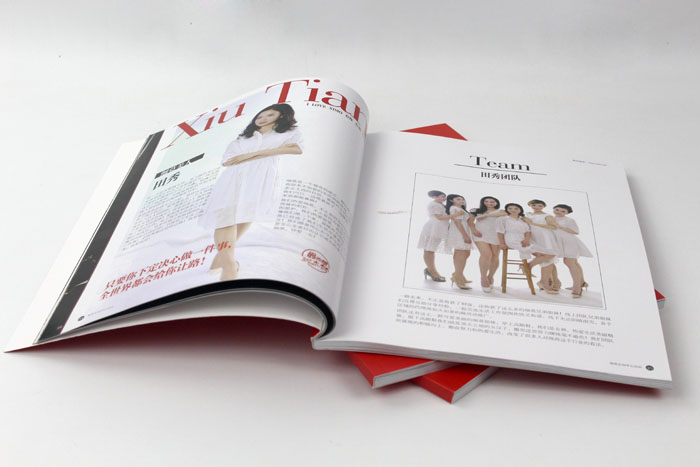 細(xì)莫食品選擇與長沙印刷廠日大彩印合作，打造精品宣傳畫冊